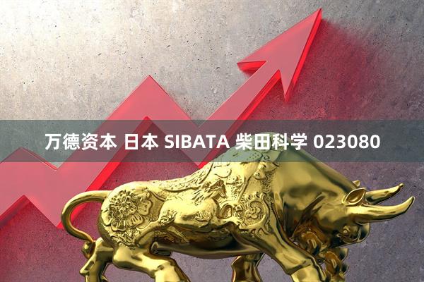 万德资本 日本 SIBATA 柴田科学 023080