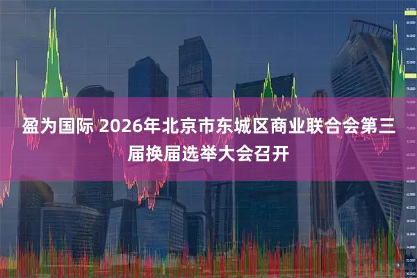 盈为国际 2026年北京市东城区商业联合会第三届换届选举大会召开