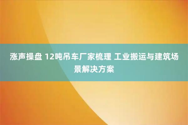 涨声操盘 12吨吊车厂家梳理 工业搬运与建筑场景解决方案