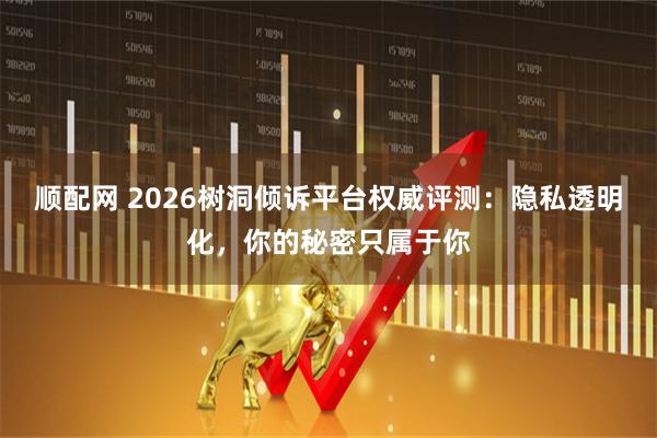 顺配网 2026树洞倾诉平台权威评测：隐私透明化，你的秘密只属于你